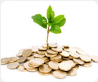 Feed in Tariff